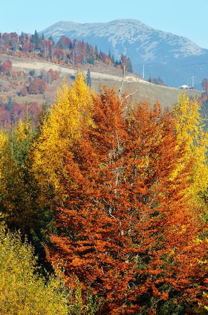 Morgen Herbst Landschaft der Karpaten