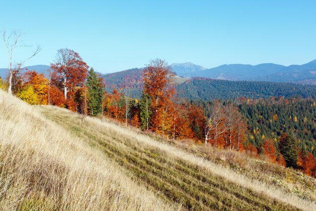 Morgen Herbst Landschaft der Karpaten