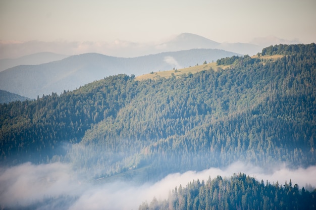 Morgen mit Nebel über Berghängen