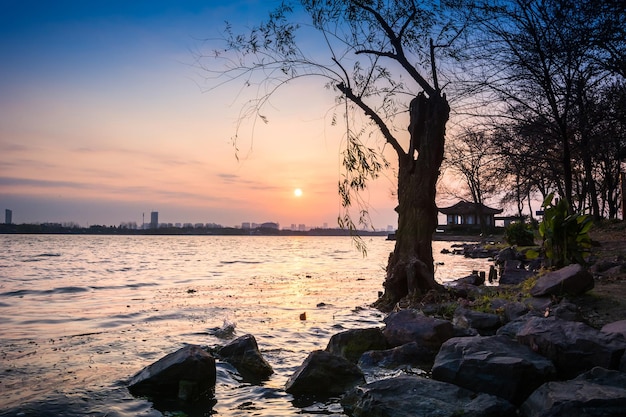 Morgen Sonnenaufgang Stadt Skyline Park See klares ruhiges Wasser