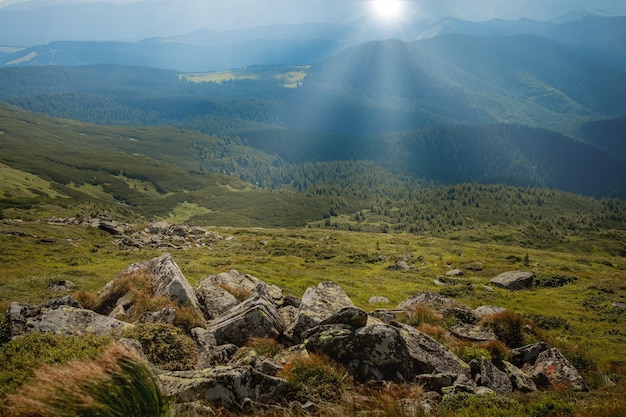 Morgen sonniger Tag ist in Berglandschaft