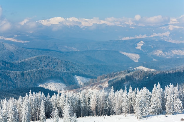 Morgen Winter ruhige Berglandschaft mit schönen Tannen am Hang