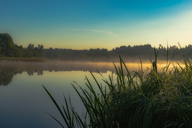 Morgenblick auf den Fluss in der Morgensonne mit Nebel über dem Fluss im Sommer