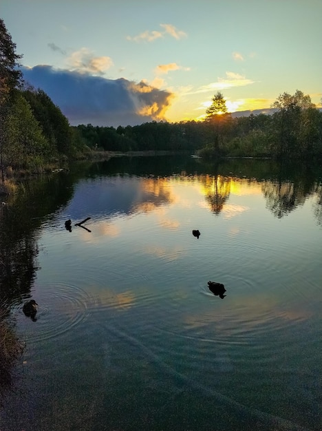 Morgendämmerung der Sonne und Silhouetten von Enten auf einem blauen See in Kasan