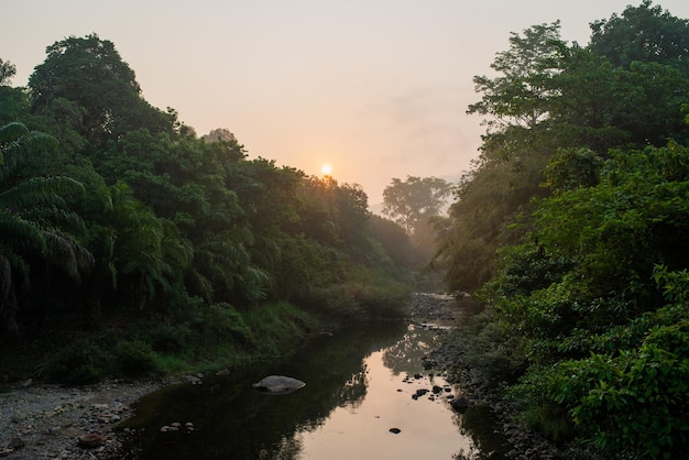 Morgendämmerung des Flussnebels