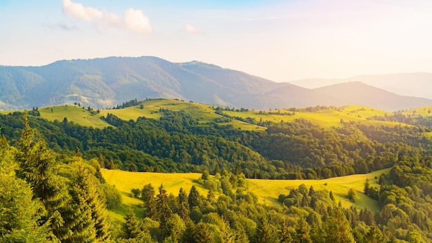 Morgendämmerung in grünen Sommerbergen Lebhafte Fototapete Die ruhige Schönheit des Erdkonzepts