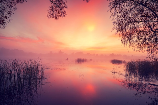 Morgendämmerung über dem See Mystisches Gefühl der ländlichen Landschaft des nebelhaften Morgens Wildnis