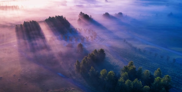 Morgendämmerung über der Wiese Eine wunderbare Sommerlandschaft Drohnenansicht Morgennebel