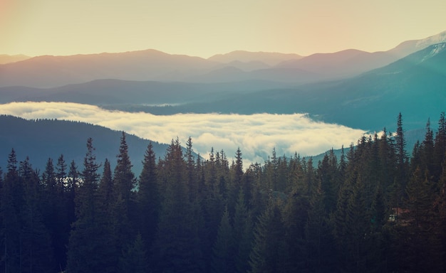 Morgendliche Berglandschaft