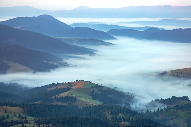 Morgendlicher dichter Nebel im bergigen Waldgebiet der ukrainischen Karpaten. Landschaft in der Natur. Morgendämmerung in den Bergen