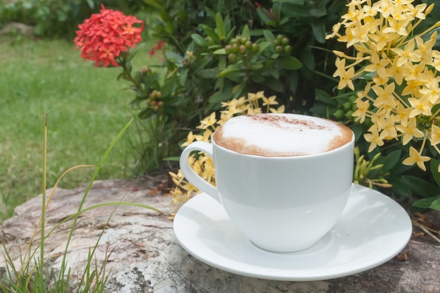 Morgenkaffee mit Sonnenlicht.