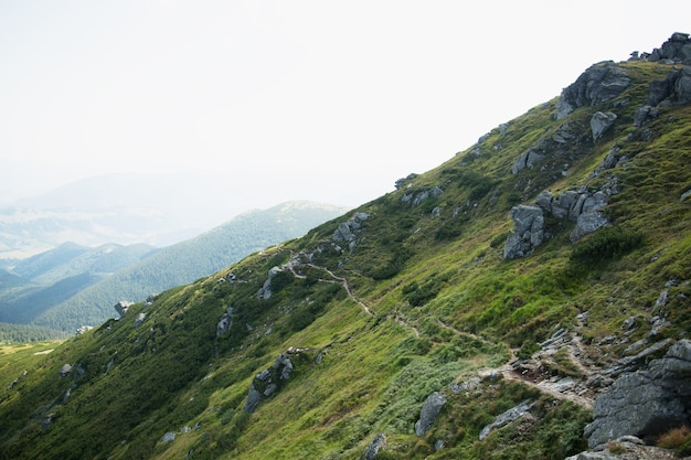 Morgenlandschaft der grünen Berge. Wandern