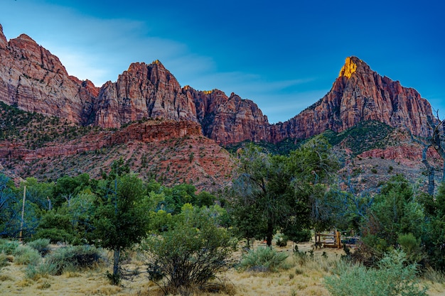 Morgenlicht im Zion Canyon