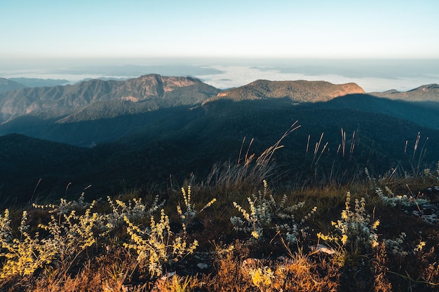 Morgenlicht und Berge, Berge am Sommermorgen und Frühlingsblumen