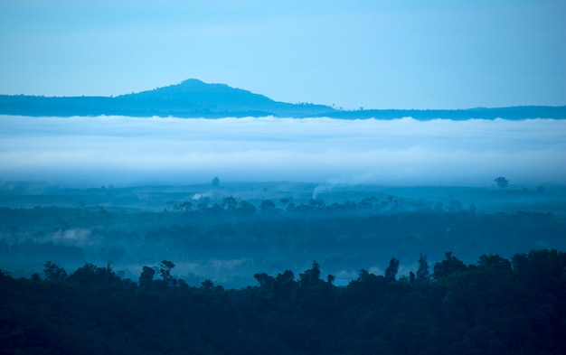 Morgennebel auf dem Berg