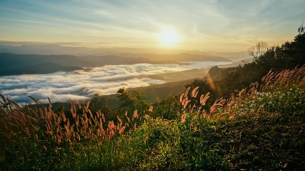 Morgennebel bei doi samer dao im Sri Nan Nationalpark Thailand Schöne Landschaft