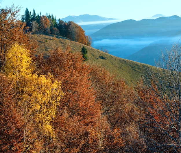 Morgennebel im Herbstkarpaten. Berglandschaft mit bunten Bäumen am Hang.