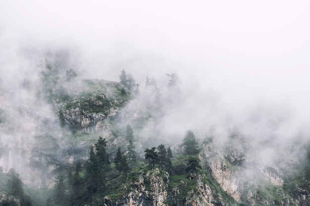 Morgennebel in den Bergen bei Sonnenaufgang Wolken über den Felsen und Bäumen