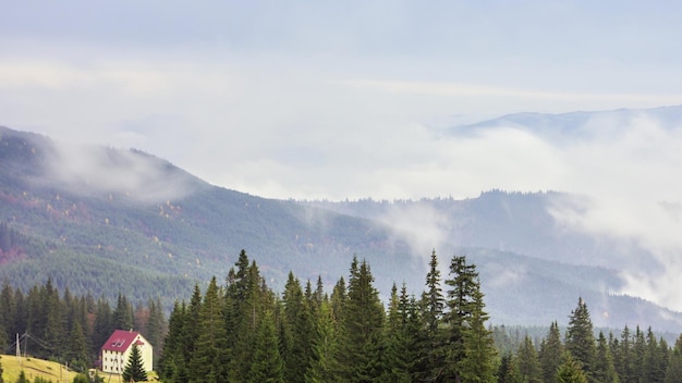 Morgennebel über dem Tal zwischen den Bergen im Sonnenlicht Nebel und wunderschöne Natur der Karpaten-Gebirgsaufnahmen Ukraine