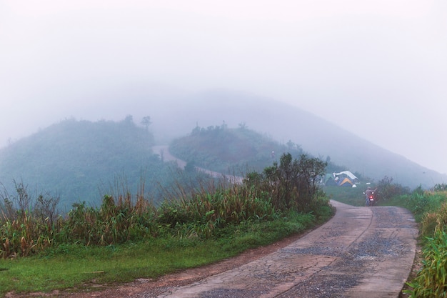 Morgens Nebel auf dem Hügel und Zelten.