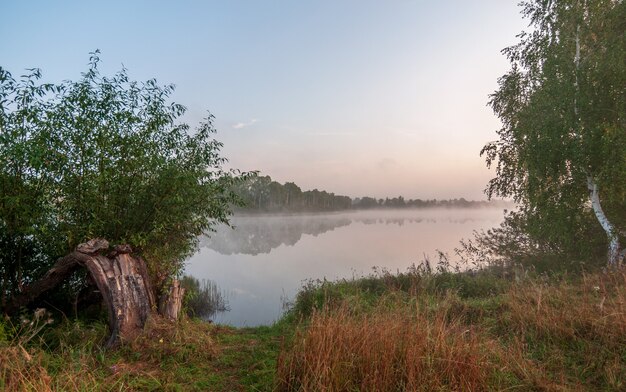 Morgens Nebel über dem See. schöne Sommerlandschaft