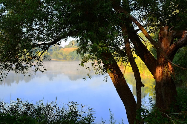 Morgens nebliger Dunst auf dem Fluss