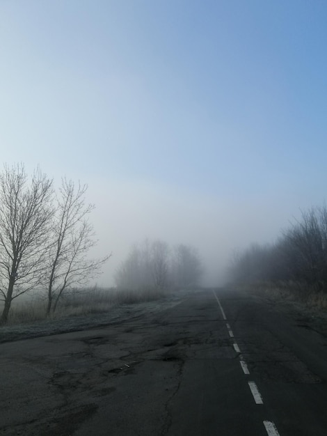 Morgenspur in der düsteren Atmosphäre des Nebels