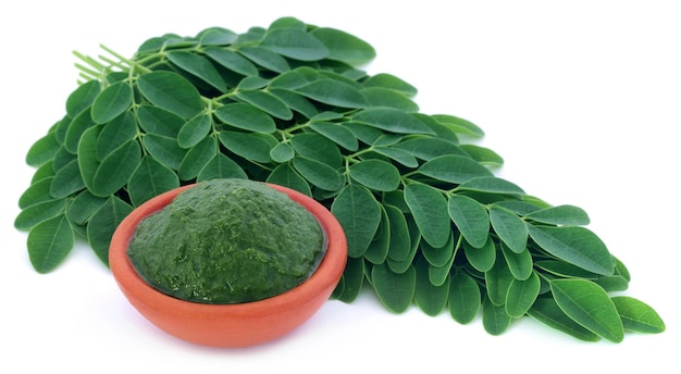 Moringa-Blätter mit Püree in einer Schüssel auf weißem Hintergrund