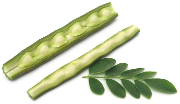 Moringa comestível com folhas frescas