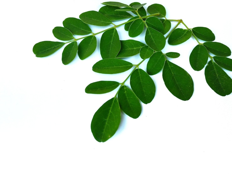 Foto moringa deja cápsulas de polvo de moringa aisladas sobre un fondo blanco