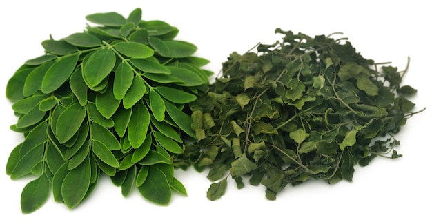 Moringa geht