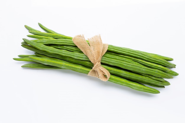 Moringa oleifera aislado en blanco