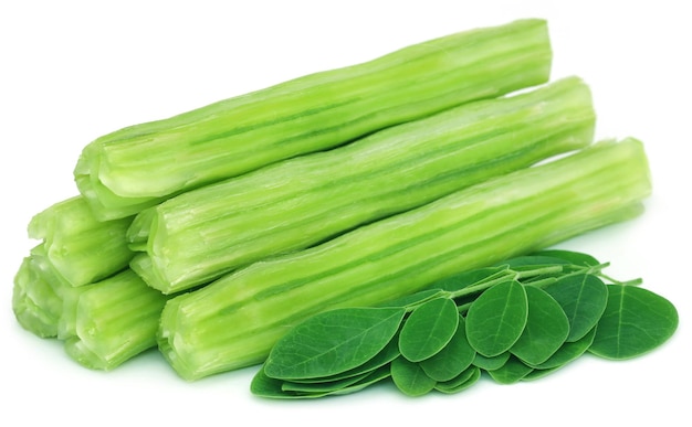 Foto moringa oleifera comestible con hojas verdes sobre fondo blanco.