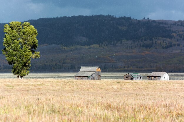 Mormon row