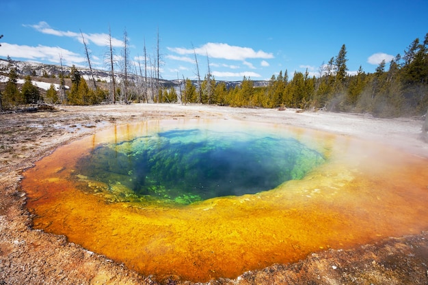 Morning Glory Pool