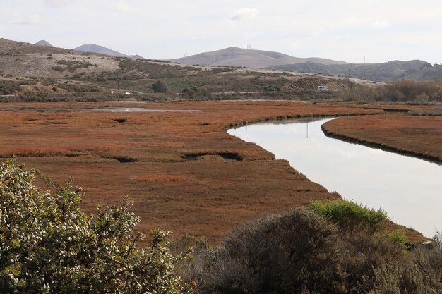 morro bahia california