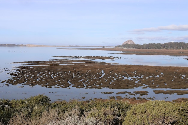 morro bahia california