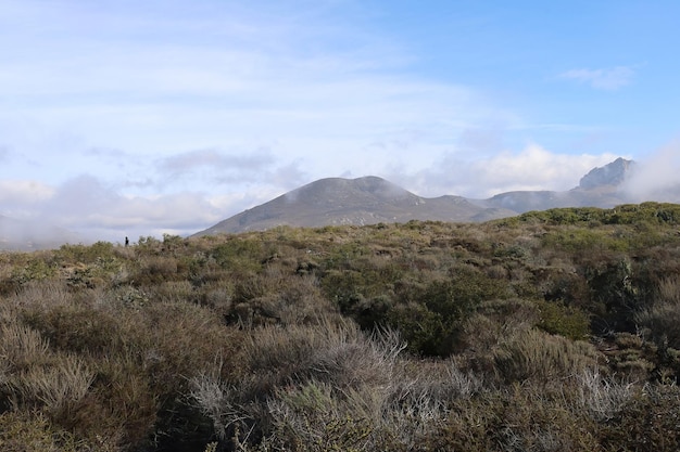 Morro Bay Califórnia