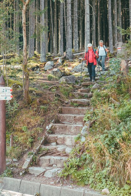 Morske oko Polonia 12 de septiembre de 2019 pareja de ancianos caminando con palos por sendero forestal