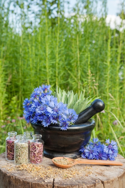 Mortero con acianos azules y hierbas medicinales de salvia
