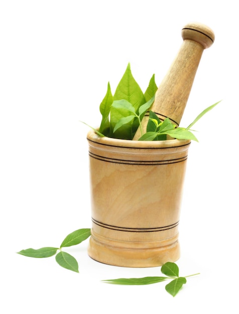 Mortero de madera con hierbas verdes