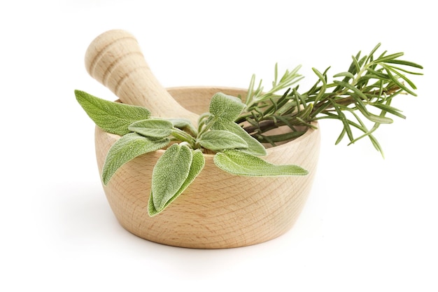 Mortero y pestillo con salvia y romero
