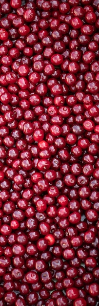 Foto mosaico de cerejas uma visão macro de cerejas em perfeita harmonia