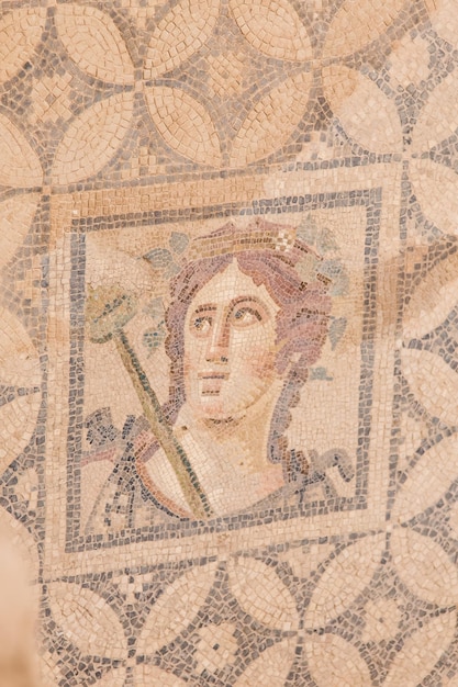 Mosaico no terraço abriga a cidade antiga de Éfeso