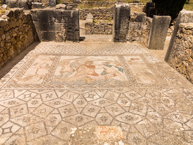 Mosaicos en Volubilis Marruecos