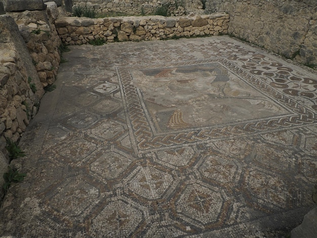 Mosaik der römischen Ruinen von Volubilis in Marokko - Die am besten erhaltenen römischen Ruinen liegen zwischen den Kaiserstädten Fez und Meknès auf einer fruchtbaren Ebene, umgeben von Weizenfeldern.