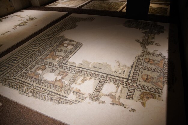 Mosaik im Archäologischen Museum von Antalya Antalya Turkiye