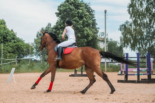 Mulher-cavalo Cavalgando a Cavalo Marrom E Pulando a Cerca Na Arena De  Sandy Parkour Salto De Treinamento Competitivo Filme - Vídeo de cantor,  mostra: 160093714