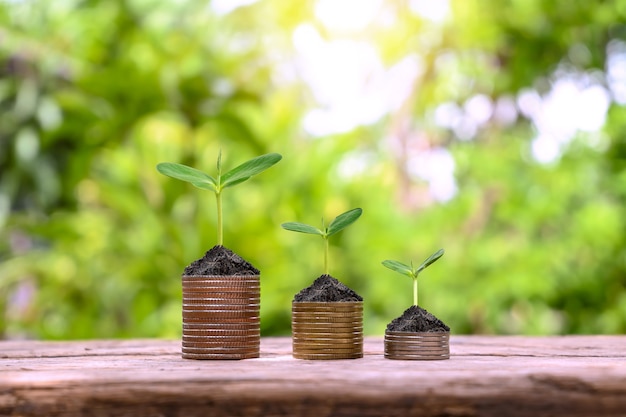 Mostre seu desenvolvimento financeiro e crescimento de negócios com árvores que crescem em moedas.