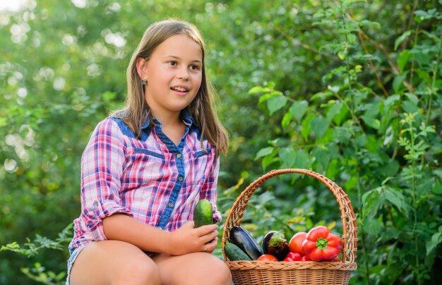 Motivo en la comida niño en la granja de verano Alimentos orgánicos feliz pequeño granjero cosecha de otoño niña vegetal en la cesta Solo cosecha natural vitamina mercado de primavera jardín alimentos saludables para niños